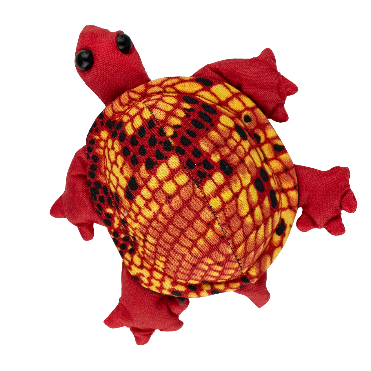 Sandtier Schildkröte