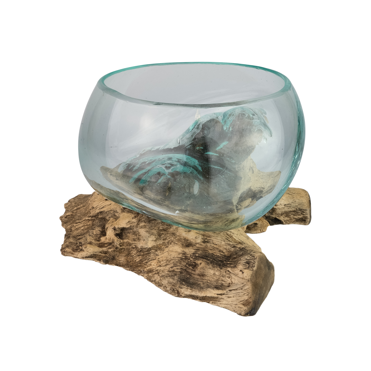 Gliricidiawurzel mit Glasschale 