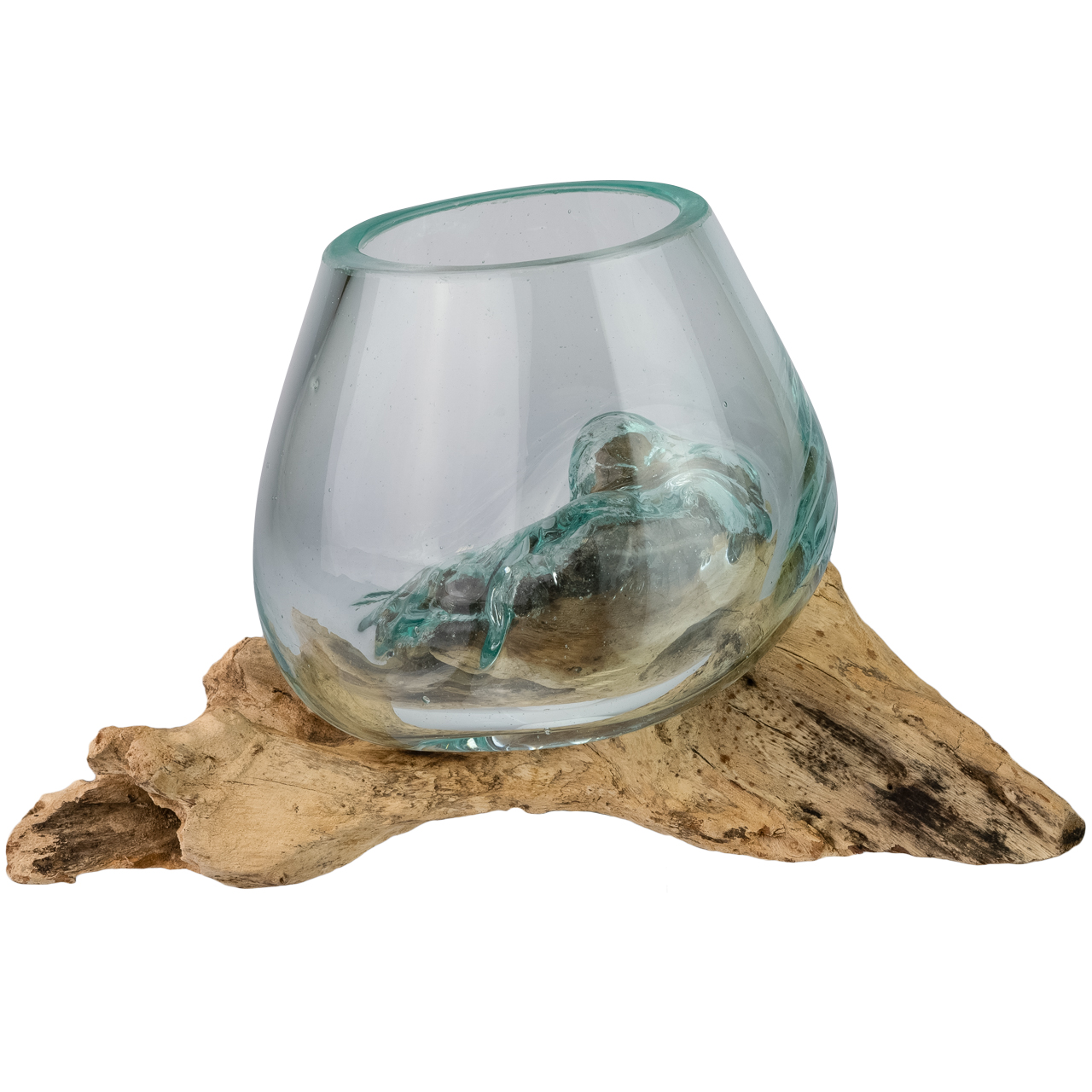 Robinienwurzel mit Glasschale
