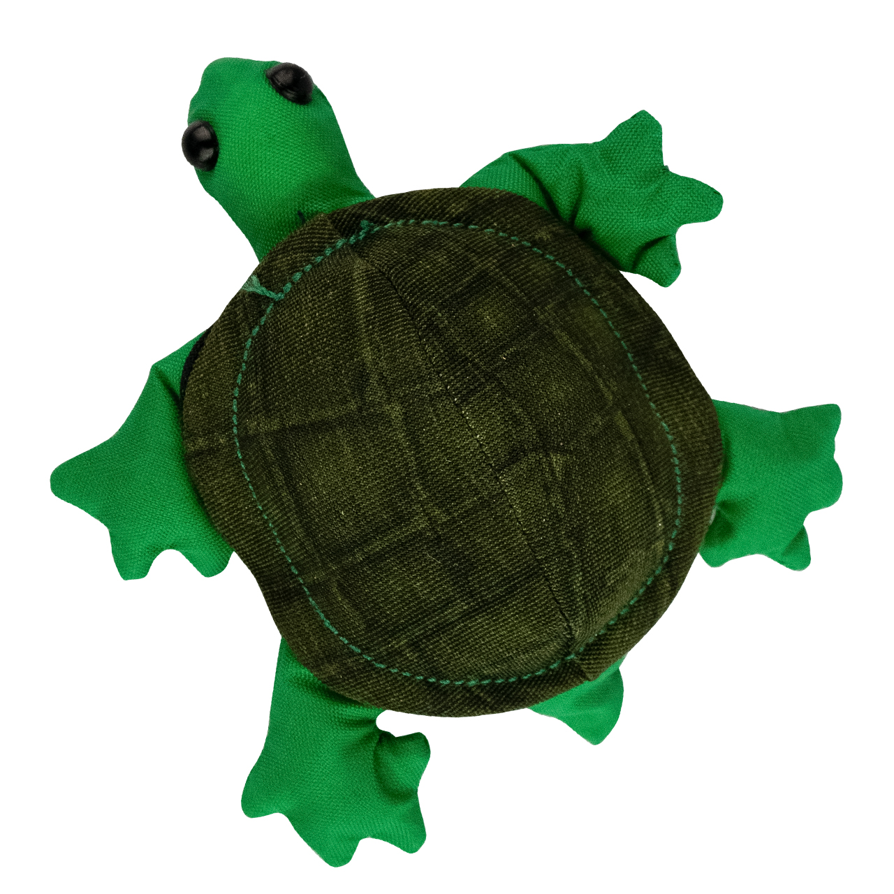 Sandtier Schildkröte