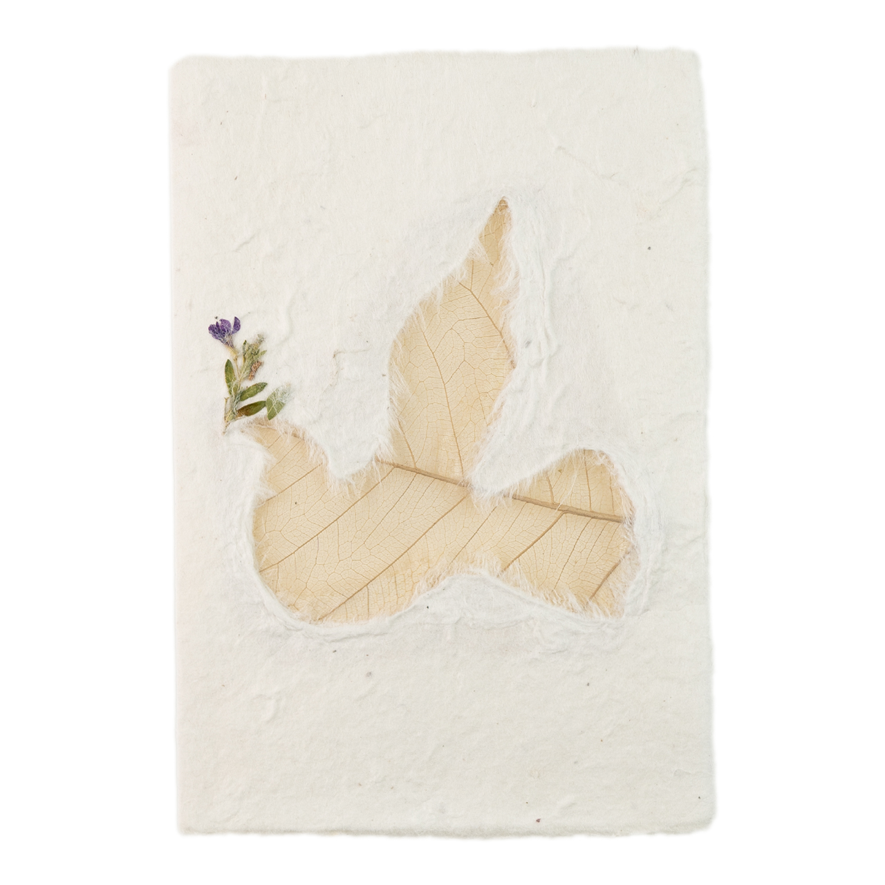 Grußkarte Friedenstaube