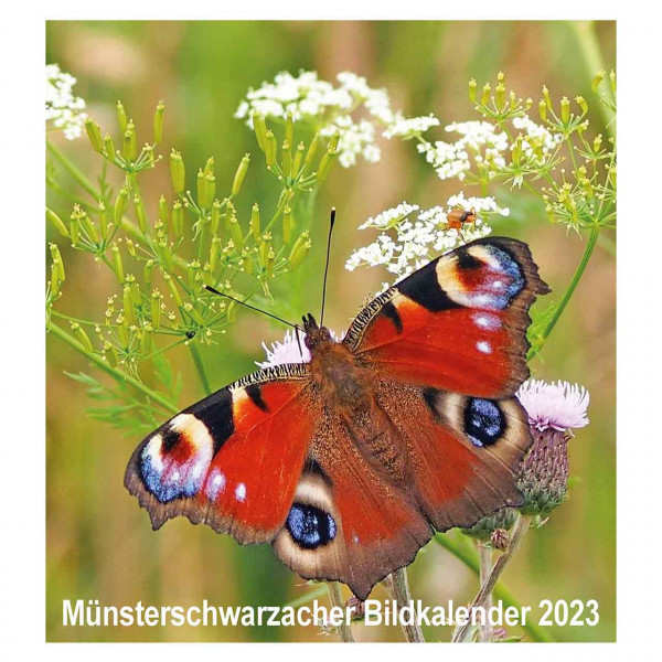 Münsterschwarzacher Bildkalender 2023